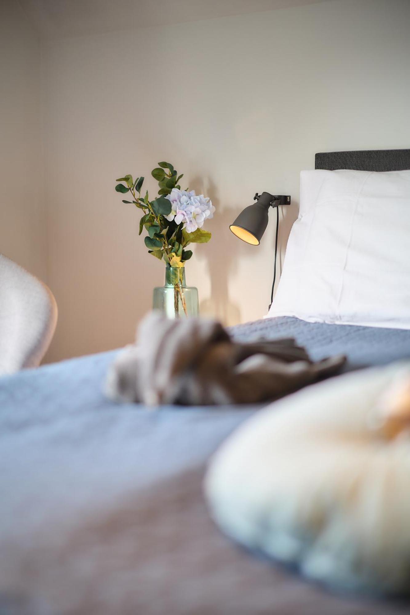 Villa Cecha B&B &Wellness ออสเทนด์ ภายนอก รูปภาพ
