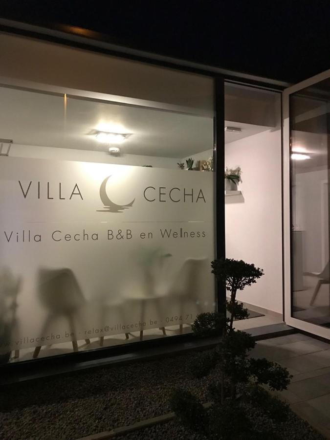 Villa Cecha B&B &Wellness ออสเทนด์ ภายนอก รูปภาพ